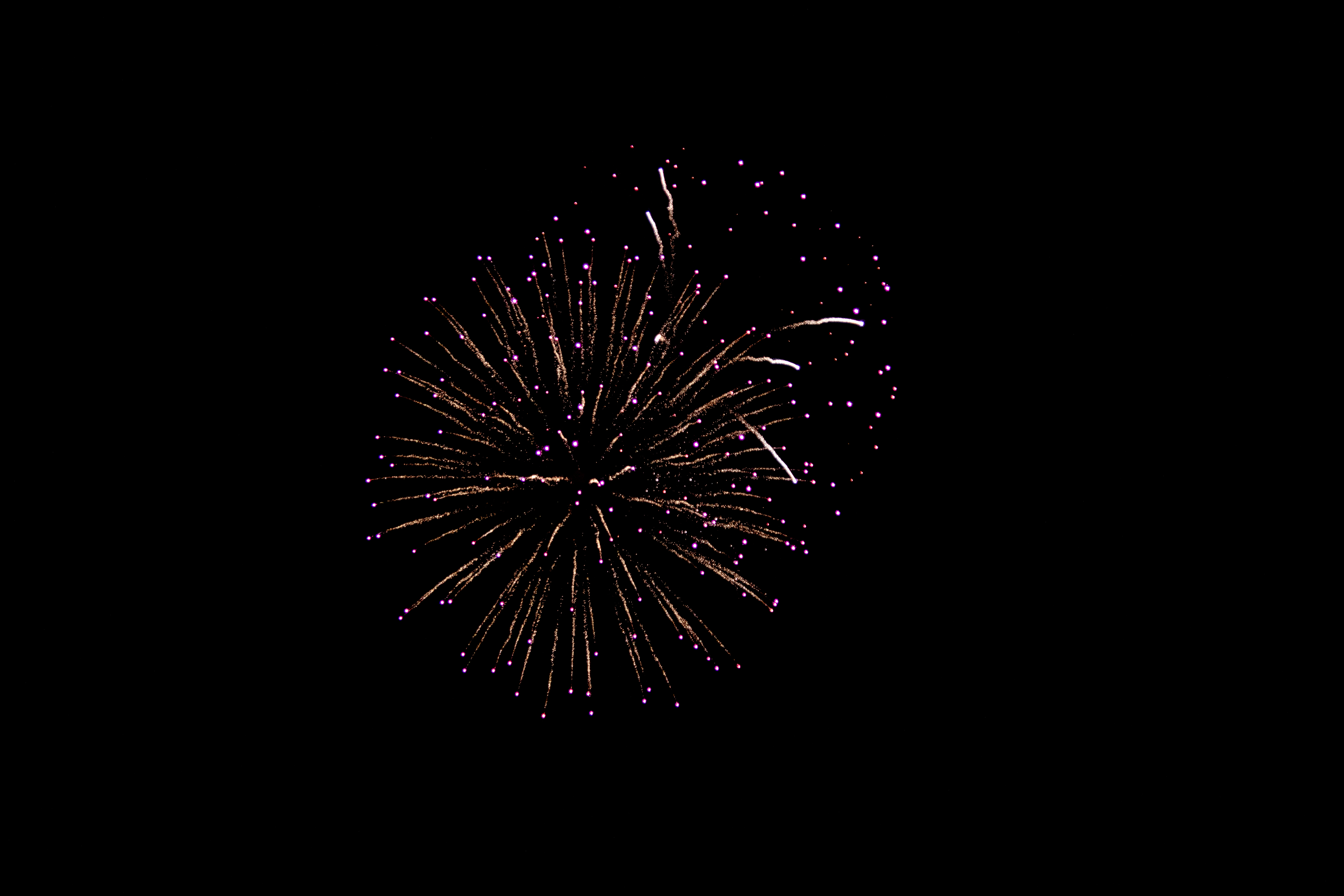 Firework Photo 2