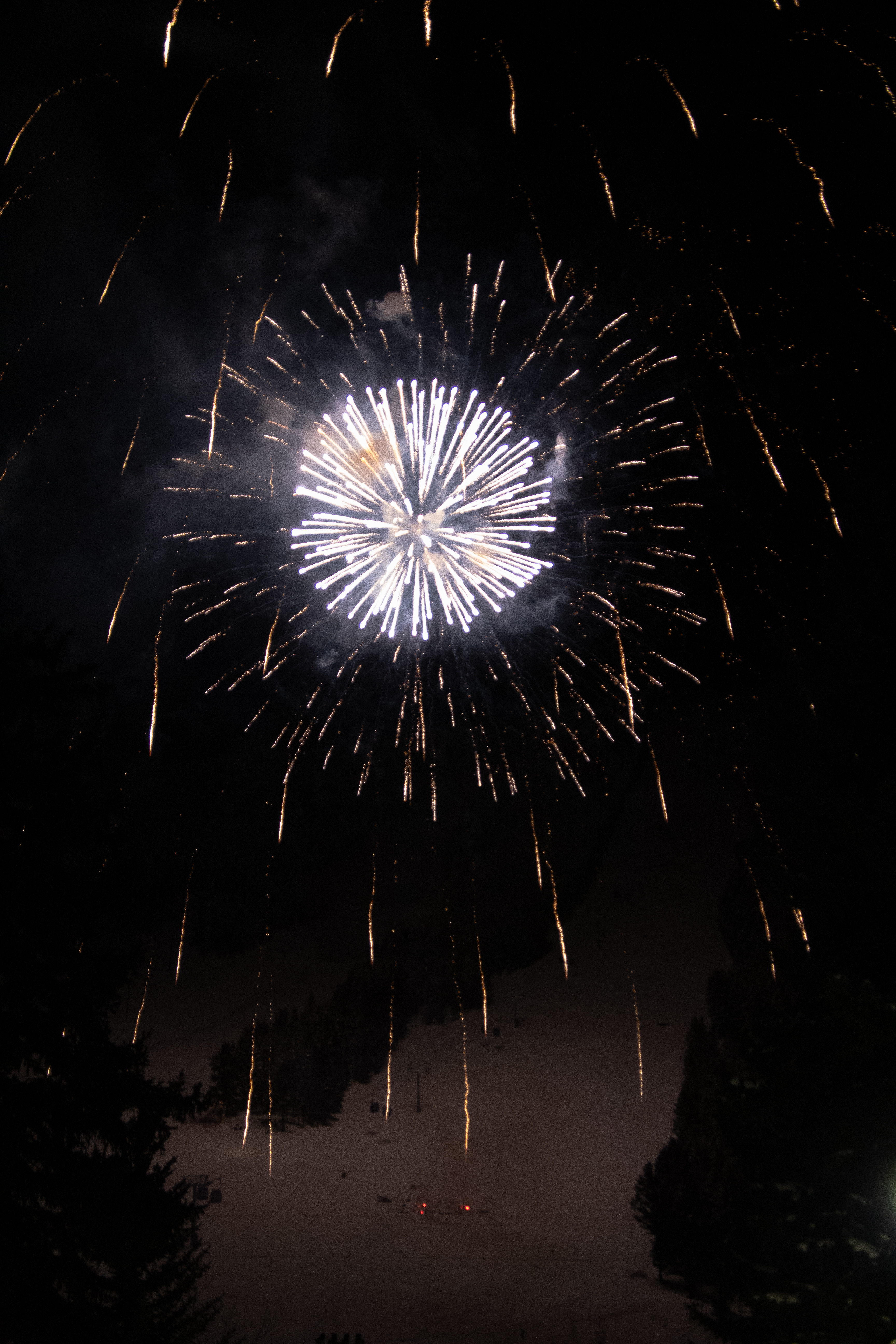 Firework Photo 4