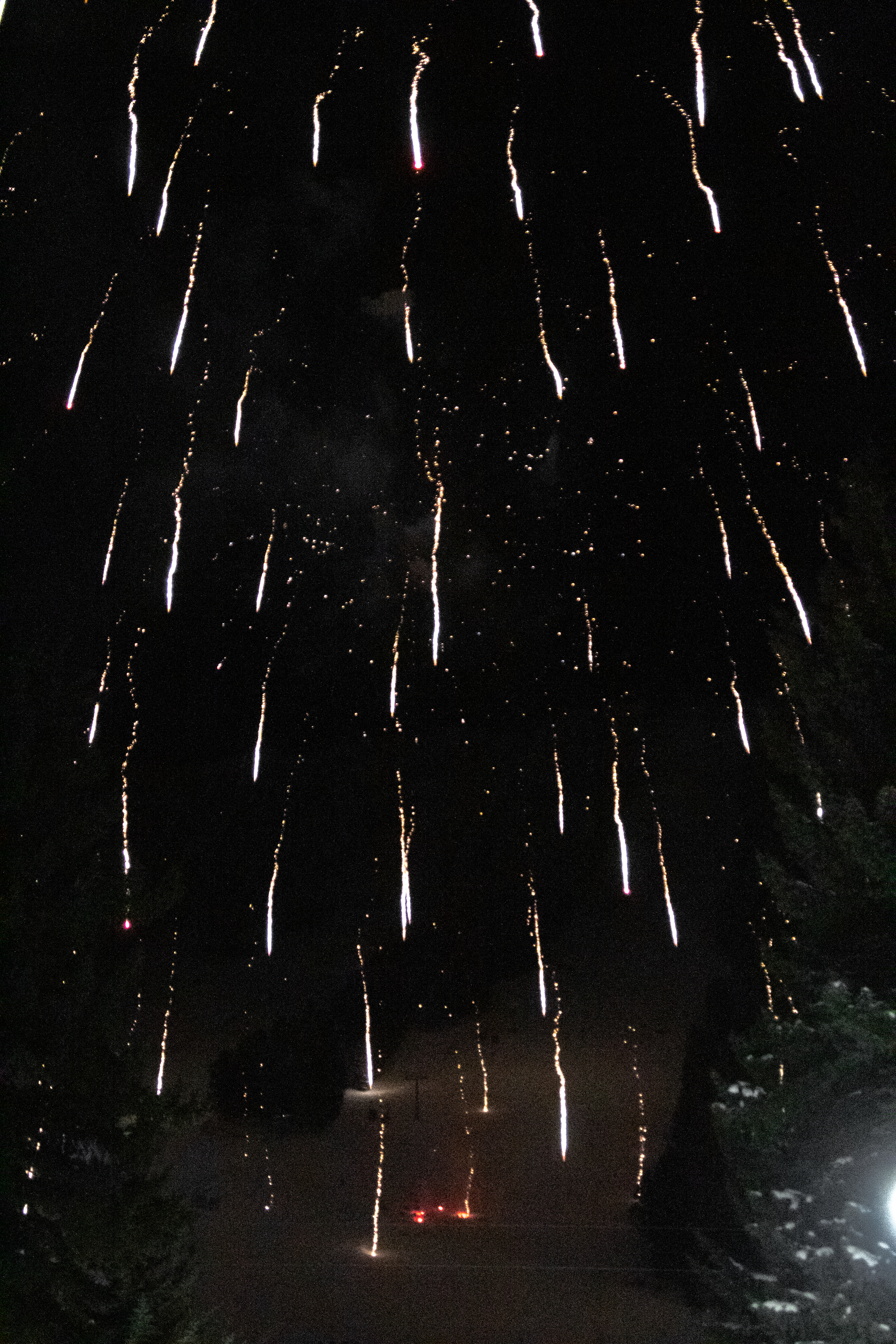 Firework Photo 5